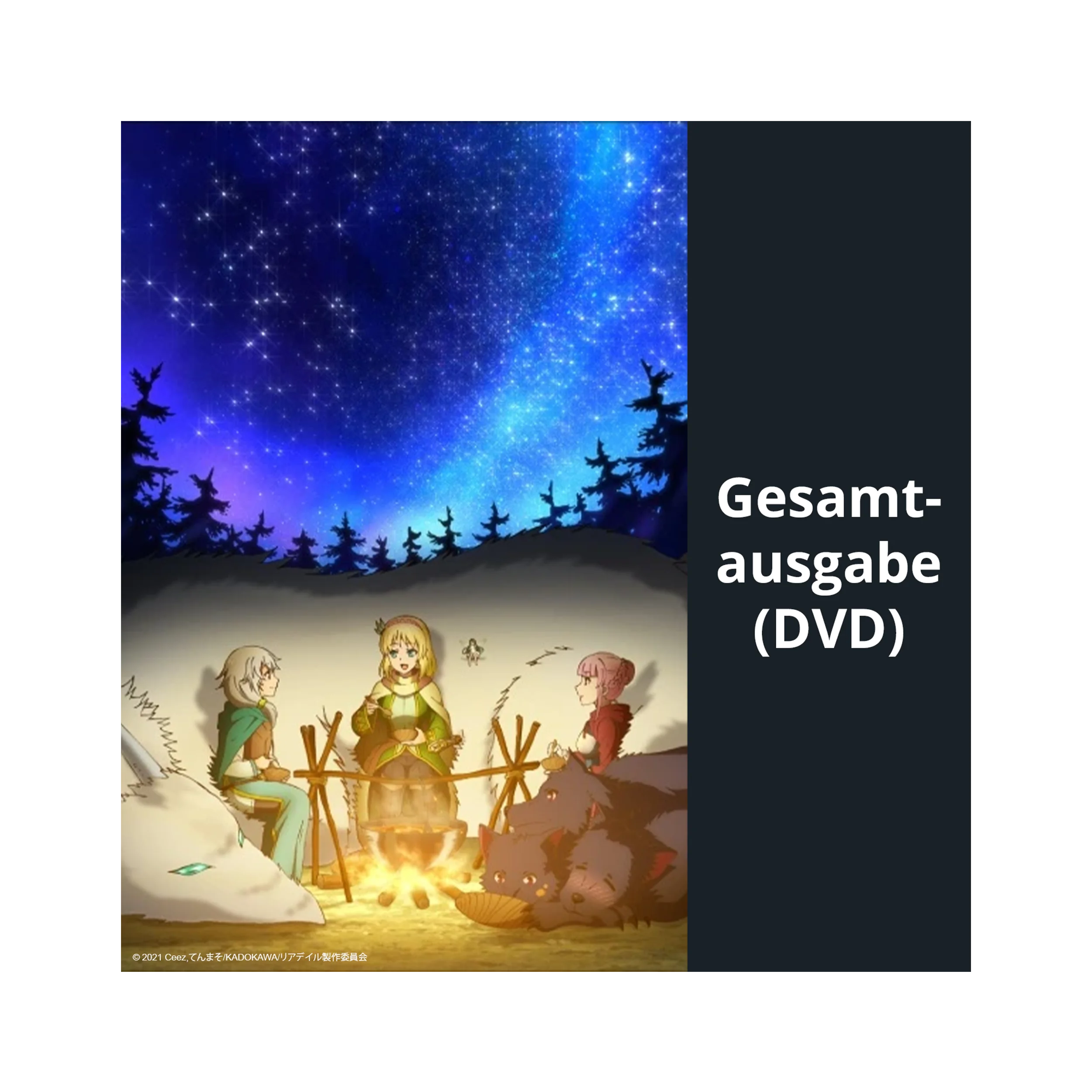 In the Land of Leadale - Gesamtausgabe (DVD)